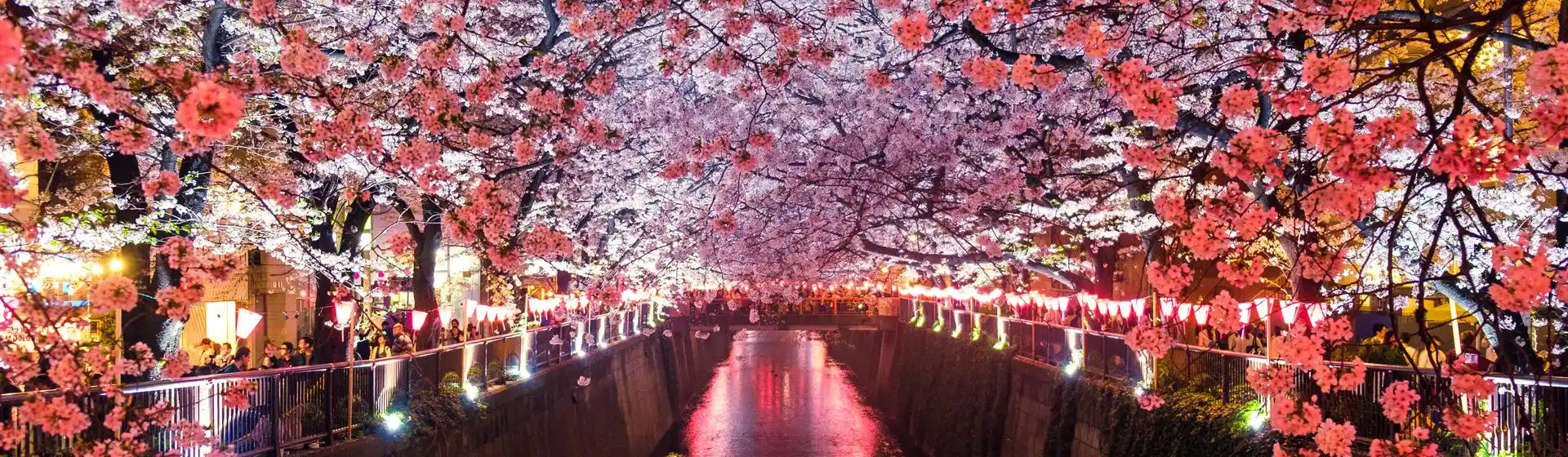 7 Insta-worthy reasons to jet-off to Japan