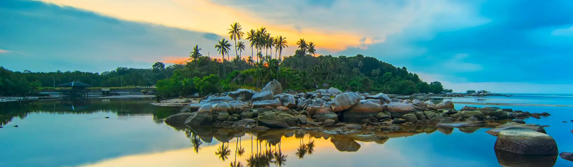 Bintan Cruise